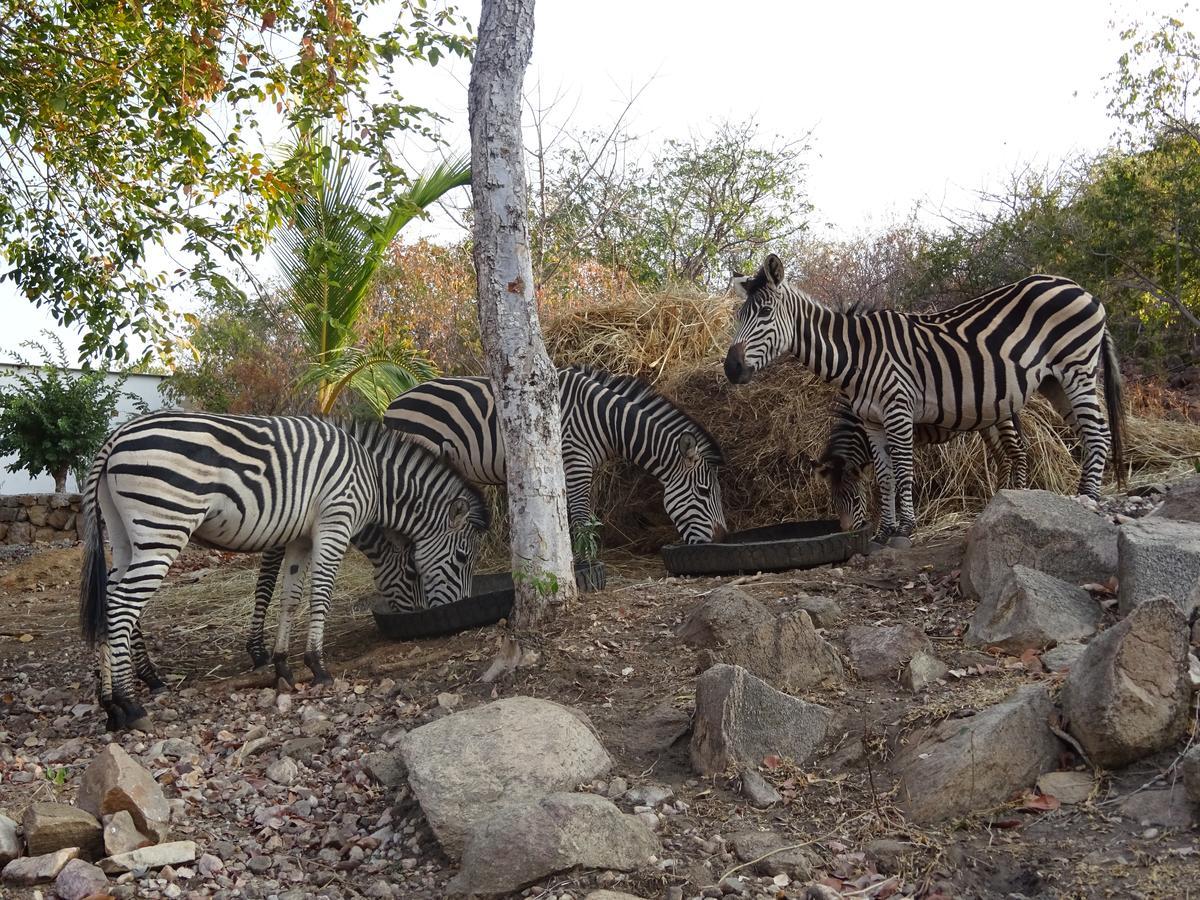 Lake Kariba Inns Siavonga Eksteriør bilde
